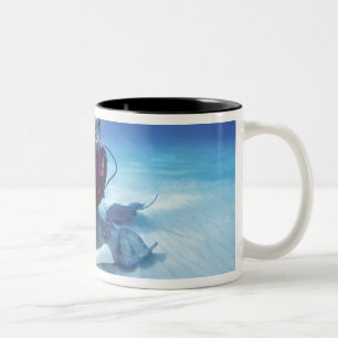 Stingray City, Grand Cayman, Cayman Islands, Two-Tone Coffee Mug