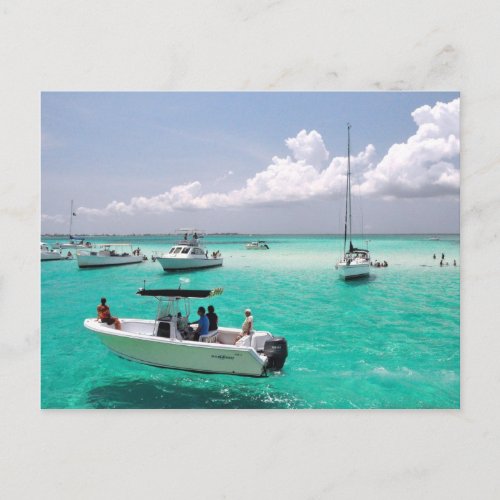 Stingray City Grand Cayman Islands Postcard