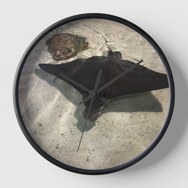 Stingray Clock (Front)