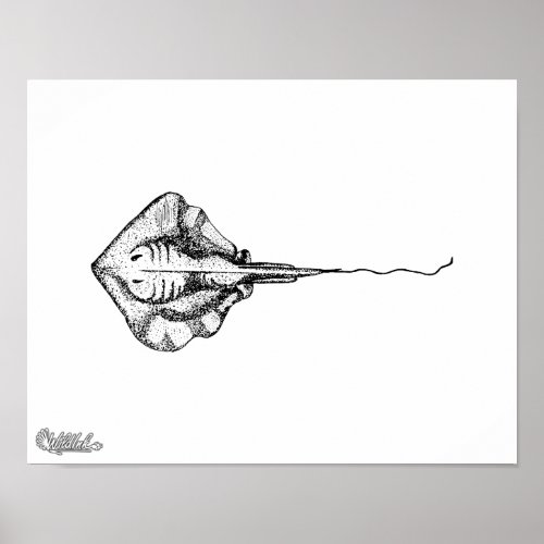 Stingray Illustration Poster