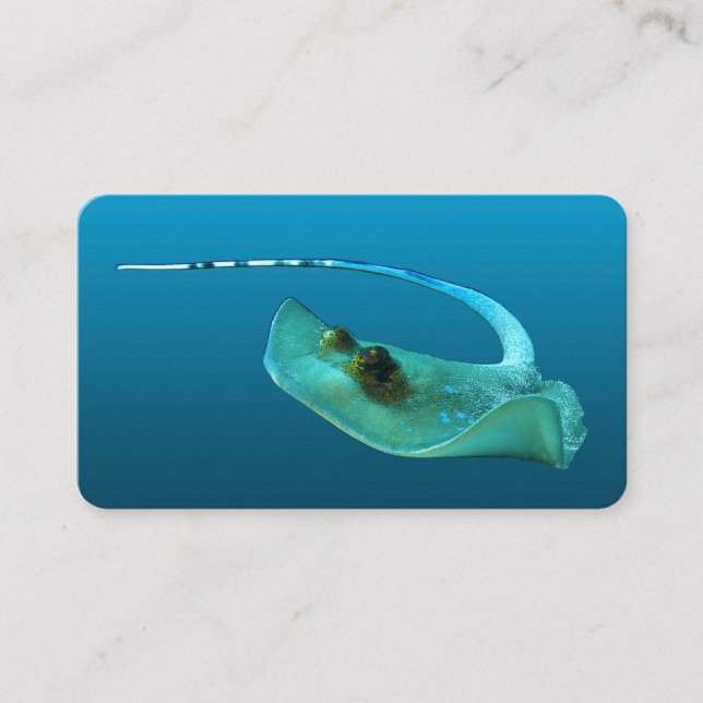 Stingray in motion! Gradient blue background |  Enclosure Card (Front)