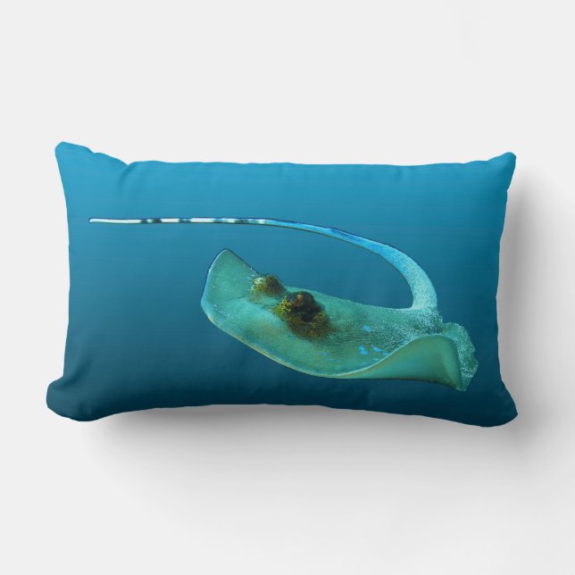 Stingray in motion! Gradient blue background |  Lumbar Pillow (Front)