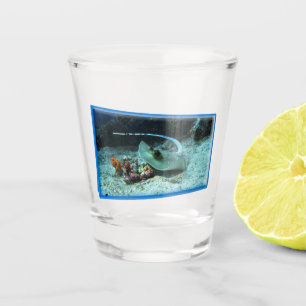 Stingray in motion - Photographic design    Shot Glass