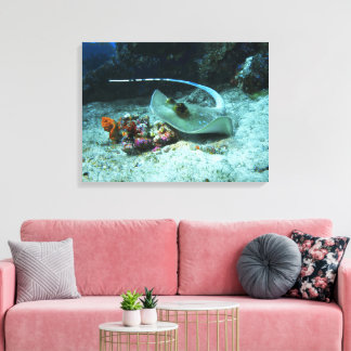 Stingray in move - Photo taken at Coral Triangle | Canvas Print