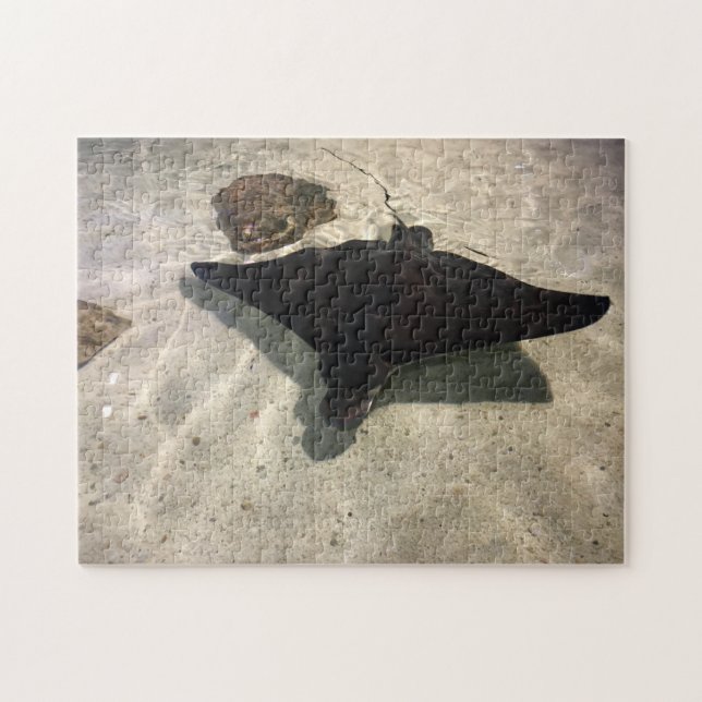 Stingray Jigsaw Puzzle (Horizontal)