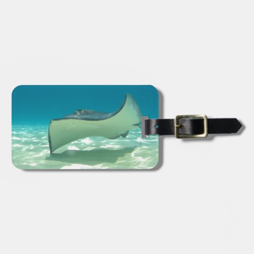 Stingray Luggage Tag