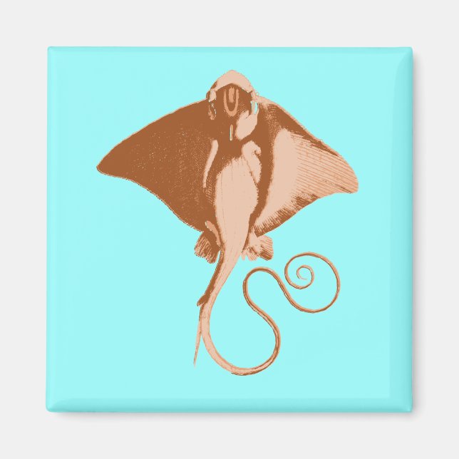 stingray magnet (Front)