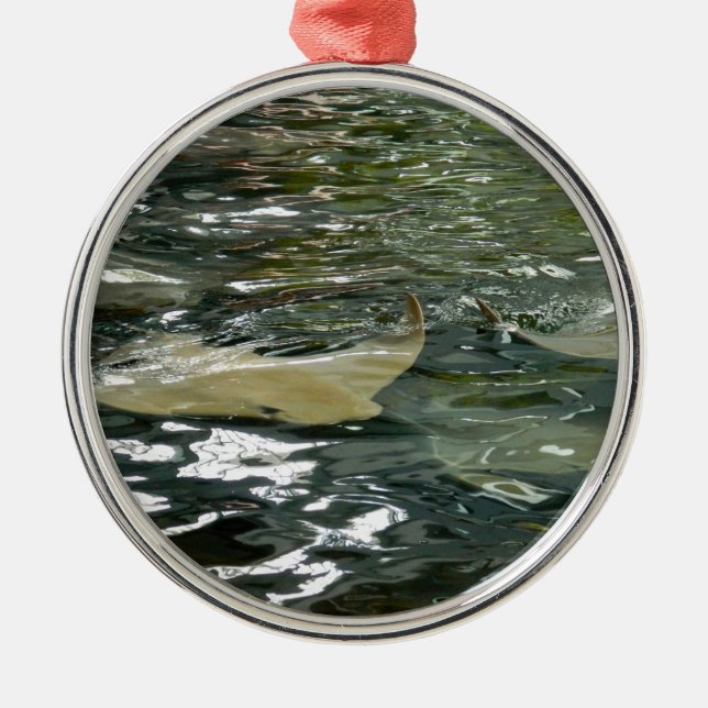 Stingray Metal Ornament (Front)