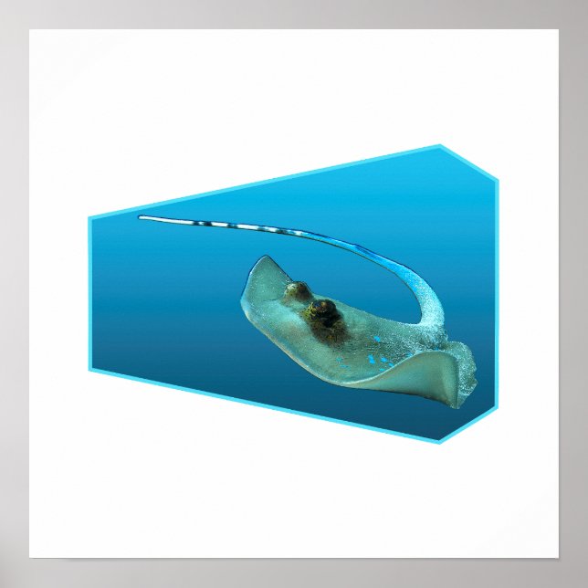 Stingray moving! Design gradient blue background | Poster (Front)