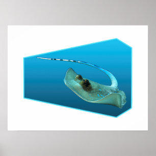 Stingray moving! Design gradient blue background   Poster