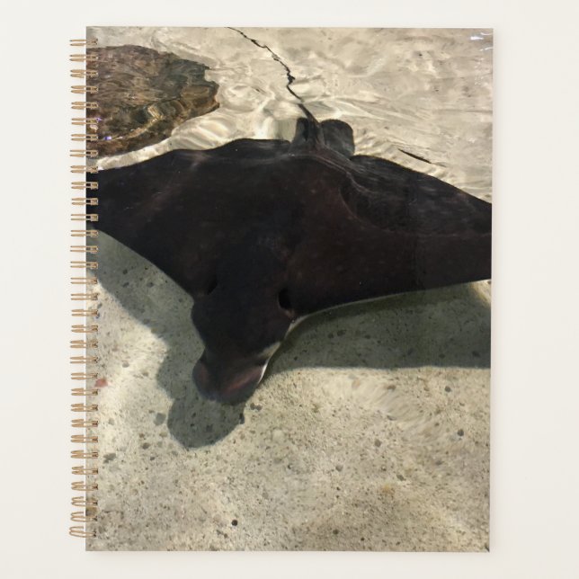 Stingray Planner (Front)
