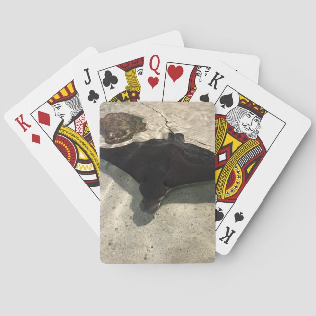 Stingray Poker Cards (Back)