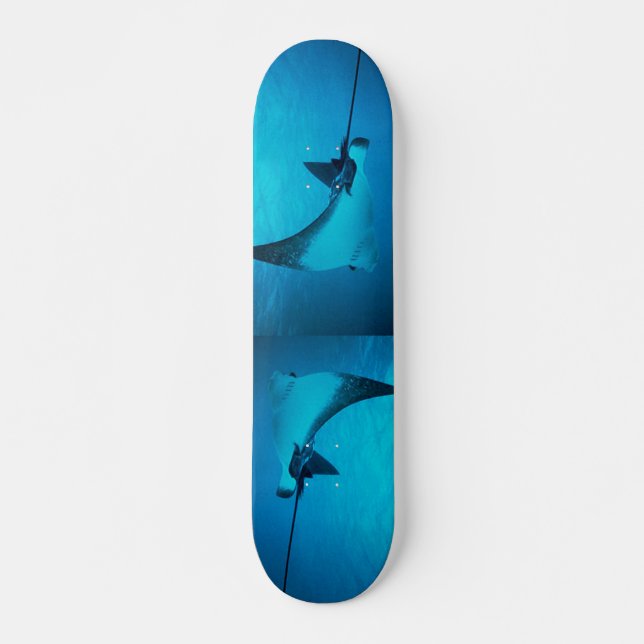 Stingray Skateboard Deck (Front)