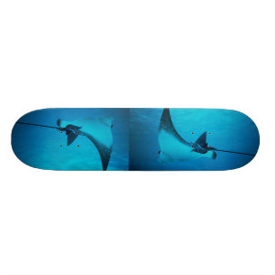 Stingray Skateboard Deck