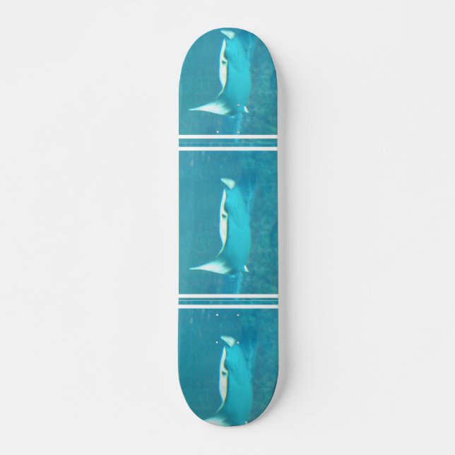 Stingray Skateboard Deck (Front)