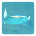Stingray  Stickers
