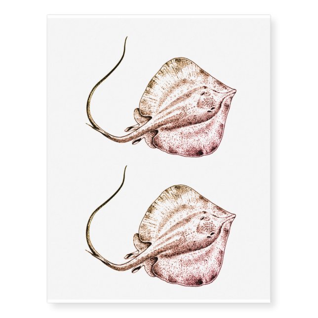 stingray temporary tattoo x2 (Front)