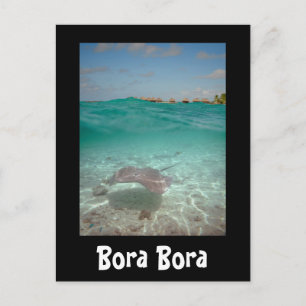 Stingray under the water in Bora Bora black card