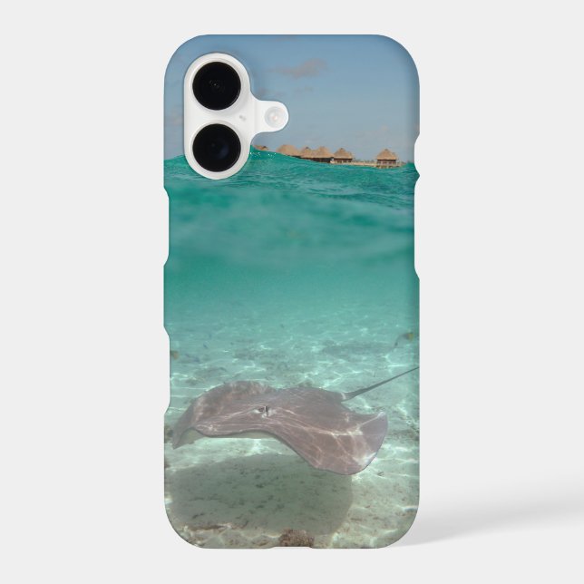 Stingray underwater in Bora Bora Case-Mate iPhone Case (Back)