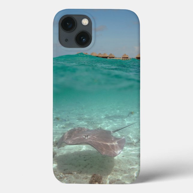 Stingray underwater in Bora Bora iPad case (Back)
