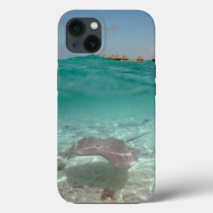 Stingray underwater in Bora Bora iphone cover