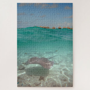 Stingray underwater in Bora Bora Jigsaw Puzzle