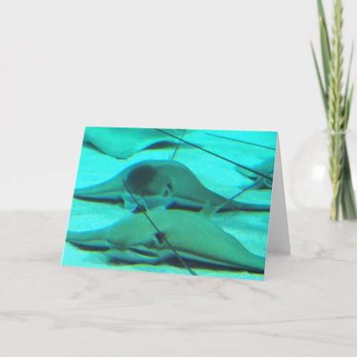 Stingrays on Ocean Floor Greeting Card