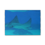 Stingrays Post-it Notes