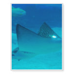 Stingrays Temporary Tattoos