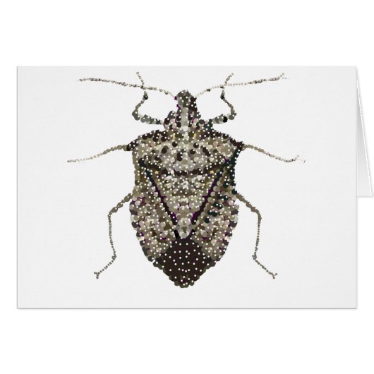 stink bug cards (Front Horizontal)
