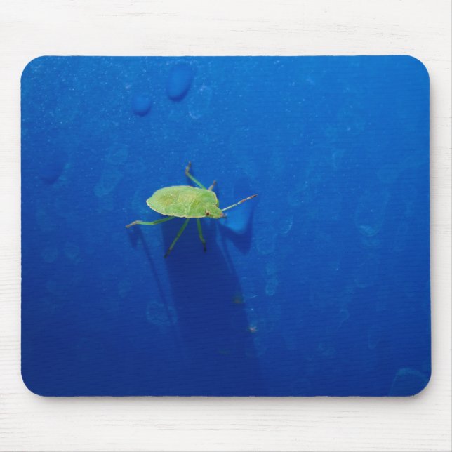 Stink bug mouse pad (Front)