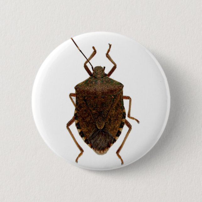 Stink Bug Pinback Button (Front)