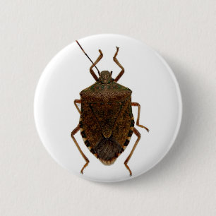 Stink Bug Pinback Button