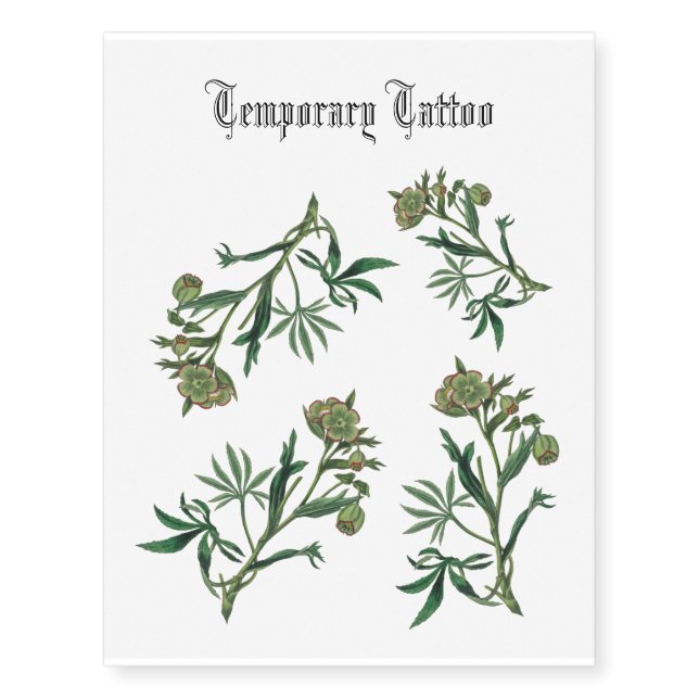 Stinking hellebore green flowers red edge botany temporary tattoos (Front)