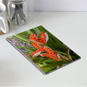Stinking Iris Orange Seed Pods Photo Notebook