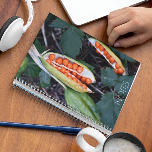 Stinking Iris Seed Pods Botanical Notebook