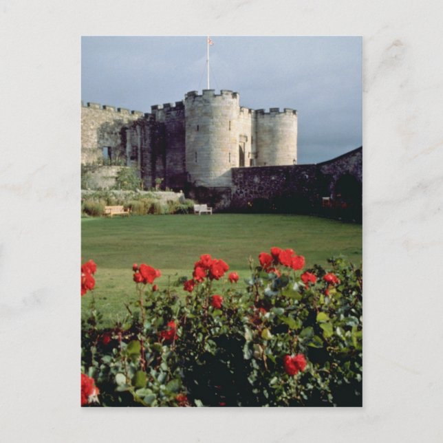 Stirling Castle, Scotland flowers Postcard (Front)