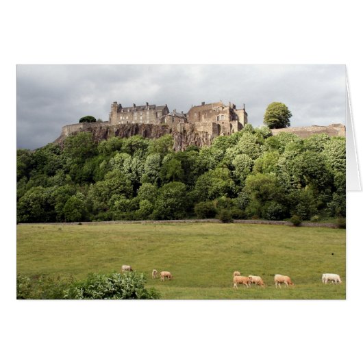 stirling castle sheep cards (Front Horizontal)