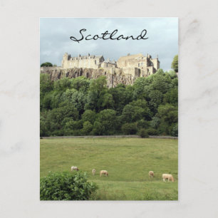 stirling castle sheep field postcard