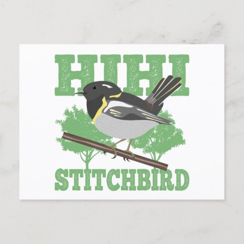 Stitchbird Hihi New Zealand Bird Postcard