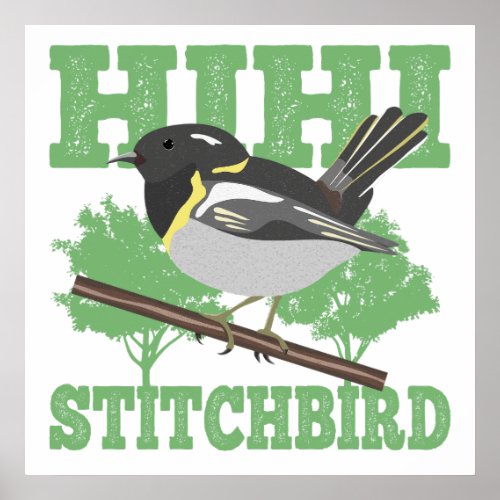 Stitchbird Hihi New Zealand Bird Poster