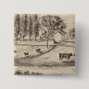 Stock farm in Orwell Vermont Button