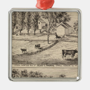 Stock farm in Orwell Vermont Metal Ornament