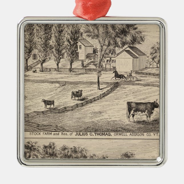 Stock farm in Orwell Vermont Metal Ornament (Front)