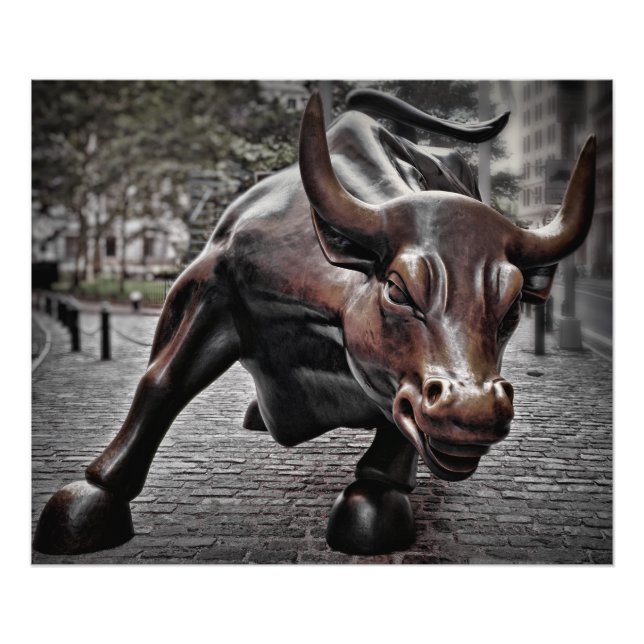 STOCK MARKET BULL PHOTO PRINT (Front)