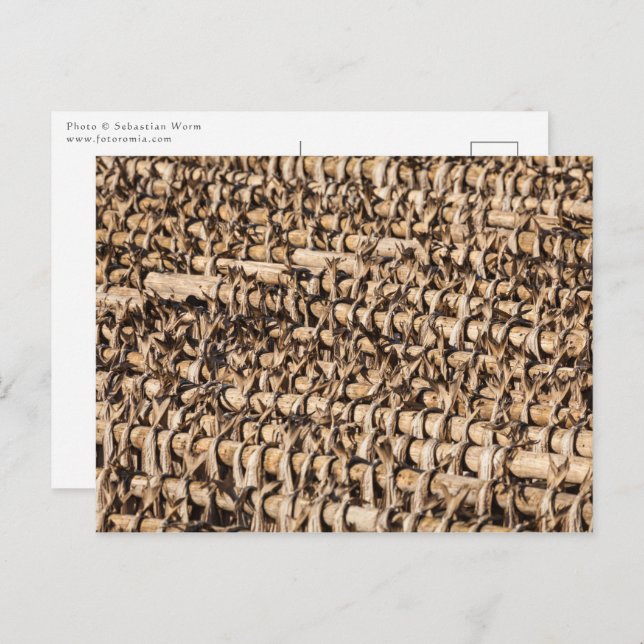 Stockfish Postcard (Front/Back)