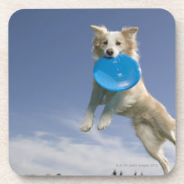 Stockton, California, USA Beverage Coaster