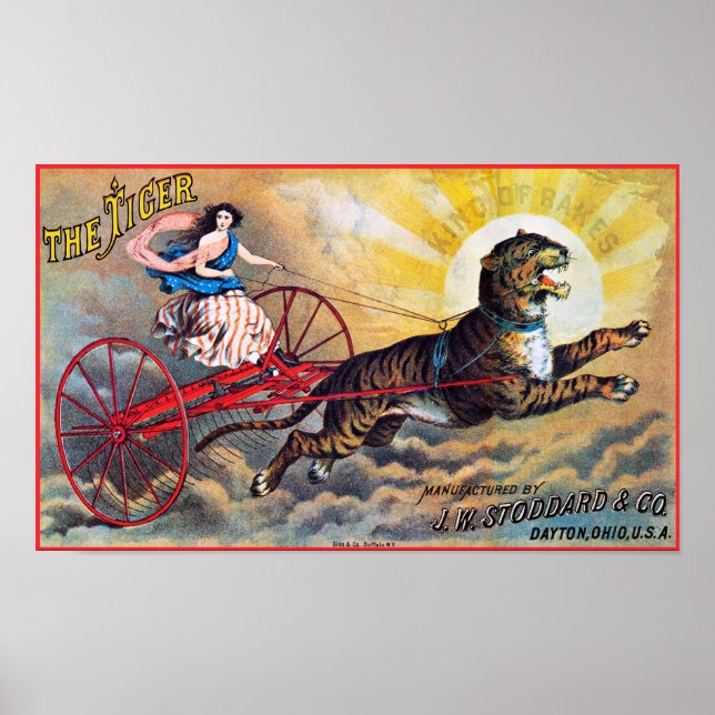 Stoddard Tiger Poster (Front)