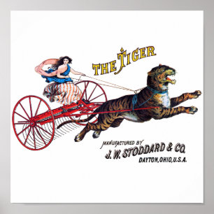 Stoddard Tiger Poster