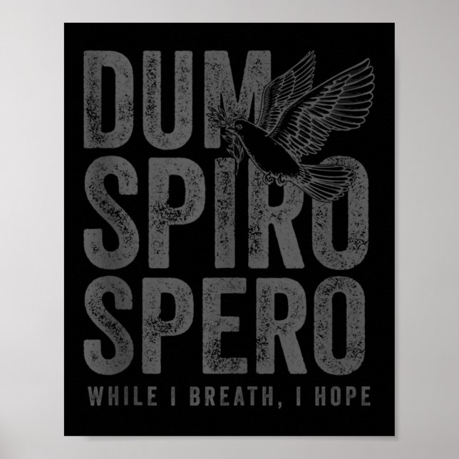 Stoic Philosophy Gray Translation Stoicism Dum Spi Poster (Front)